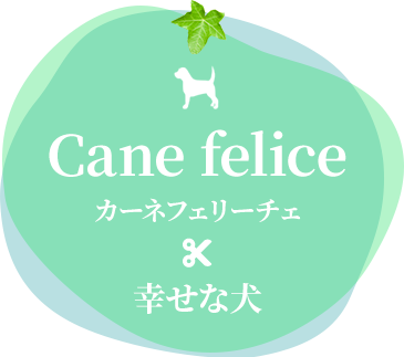 Cane felice 幸せな犬