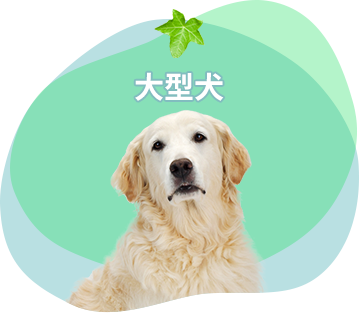 大型犬